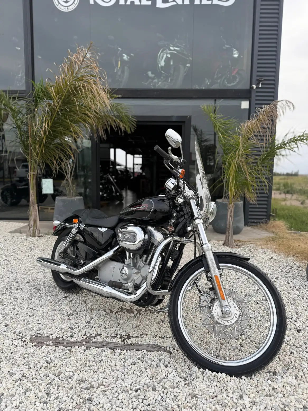 Harley-Davidson 883 CUSTOM 2010