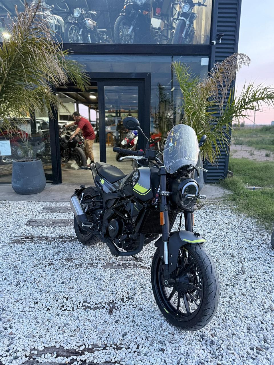Benelli Leoncino 2024