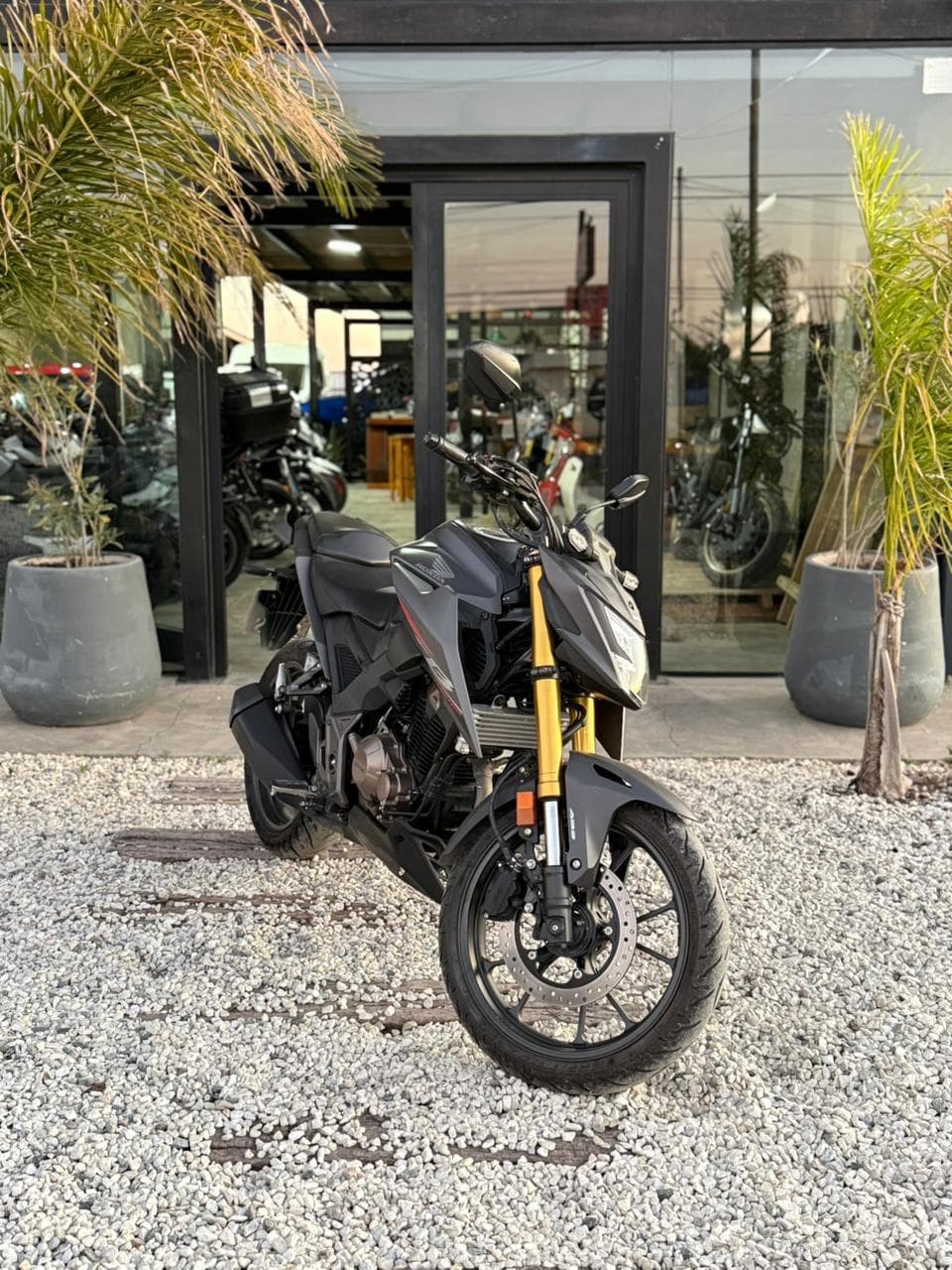 Honda Twister CB300F 2023